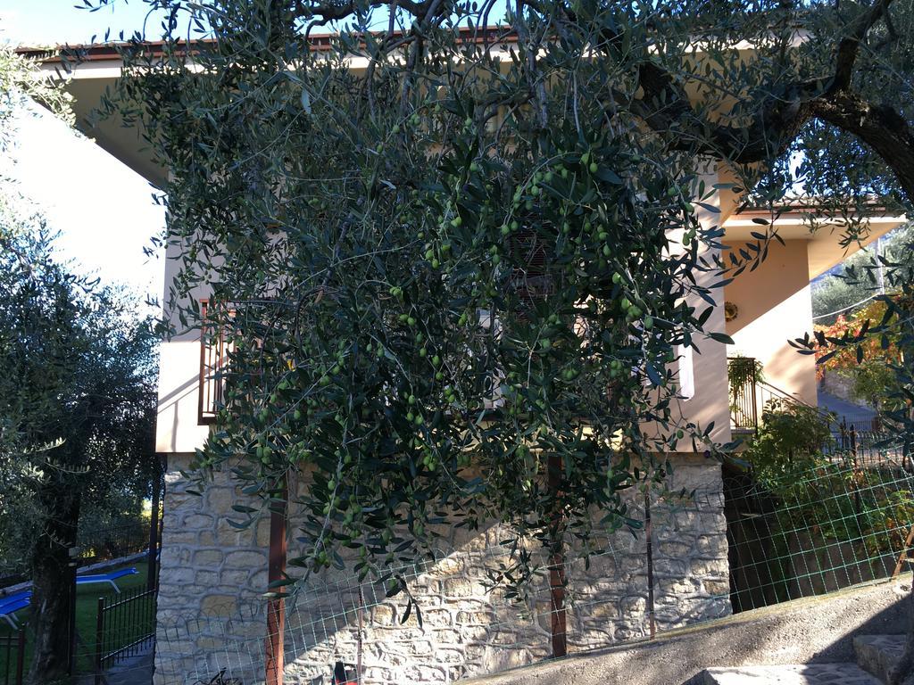 La Virgola Apartments برنزوني سول جاردا المظهر الخارجي الصورة