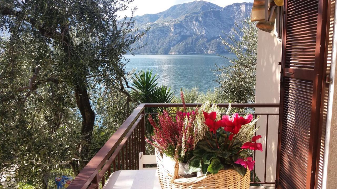 La Virgola Apartments برنزوني سول جاردا المظهر الخارجي الصورة